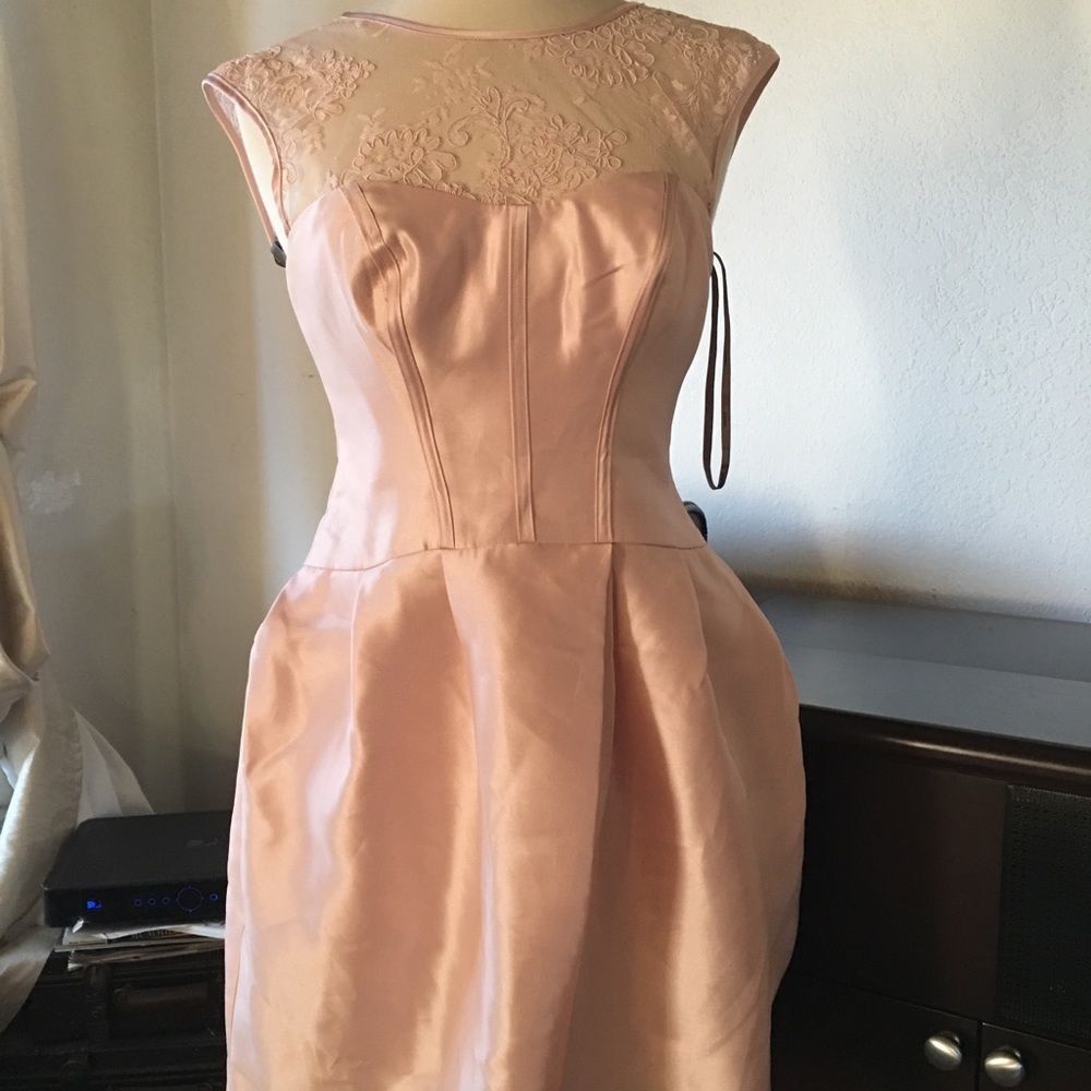 White by Vera Wang Blush Pink Lace Yoke Satin Fit & Flare Dress